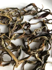 Kenya purple rain - vínový čaj - čaj s vínovými lístky zpracovaný jako zelený čaj - detail mokrých čajových lístků