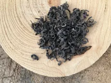 Kenya purple rain - vínový čaj - čaj s vínovými lístky zpracovaný jako zelený čaj - detail suchých čajových lístků