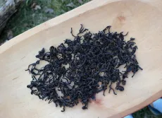 Nilgiri frost light - kvalitní sypaný černý čaj komplet ručně vyrobený - frost tea z Nilgiris - detail čajových lístků