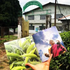 Návštěva čajové zahrady a továrny Arya v Darjeelingu.
