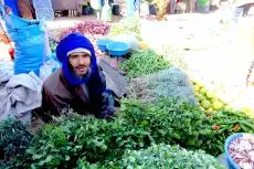 Prodavač čerstvých bylinek na touareg na marockém tradičním tržišti souk