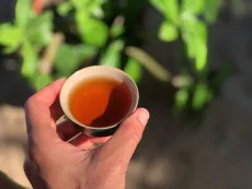 Nilgiri frost black artisan - ručně vyrobený prémiový černý čaj z Indie z Nilgiris - frost tea - detail nálevu