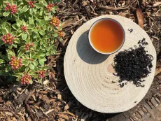 Frost tea - kvalitní sypaný indický černý čaj z Nilgiris