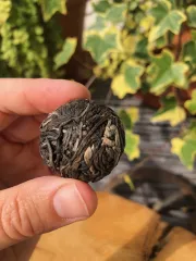 Raw Pu erh Lung Vai z prastarých divokých čajovníků ze Severního Vietnamu - detail čajové kuličky