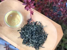 Green monkey - kvalitní sypaný zelený čaj Zelená opice