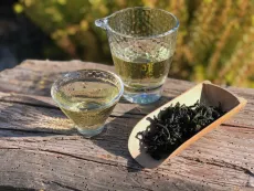 Bao zhong oolong - Pao chung oolong - slavný zelený oolong z čajové oblasti Pinglin na Taiwanu - kvalitní sypaný čaj oolong