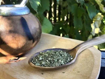 Yerba maté