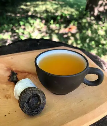 Pu erh mini tuo cha raw - zelený