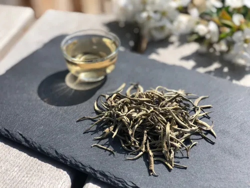 Siam Silver needle wild