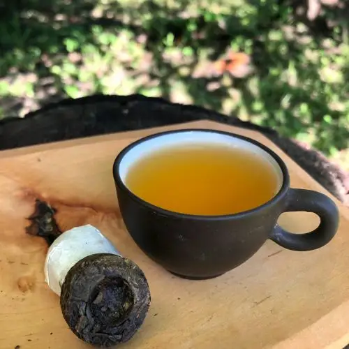 Pu erh mini tuo cha raw - zelený