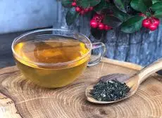 vysokohorský nepálský čaj z jarní sklizně - first flush - ze zahrady Kanyam