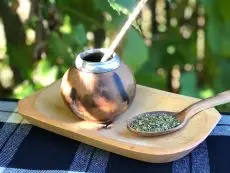 Yerba maté - maté rancho - zelené maté - cesmína paraguayská 1