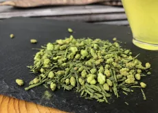 Matcha plus genmaicha - japonská specialitka - japonský zelený čaj Genmaicha obalený v práškovém čaji matcha - detail čajových lístků 1