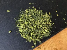 Matcha plus genmaicha - japonská specialitka - japonský zelený čaj Genmaicha obalený v práškovém čaji matcha - detail čajových lístků
