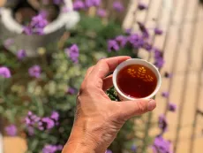 Shan lin xi honey golden bud - kvalitní sypaný černý čaj z Taiwanu - nálev