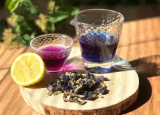 Modrý čaj - clitoria ternatea - motýlí hrášek - motýlý květ - křídla holubice - ručně sbíraný v Himaláji a na slunci sušený květ - změna barvy na fialovou po přidání citrónu