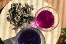 Modrý čaj - clitoria ternatea - motýlí hrášek - motýlý květ - křídla holubice - ručně sbíraný v Himaláji a na slunci sušený květ