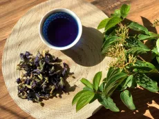 Modrý čaj - clitoria ternatea - motýlí hrášek - motýlý květ - křídla holubice - ručně sbíraný v Himaláji a na slunci sušený květ