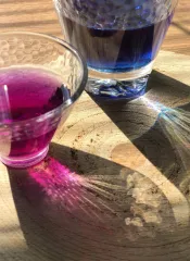 Modrý čaj - clitoria ternatea - motýlí hrášek - motýlý květ - křídla holubice - ručně sbíraný v Himaláji a na slunci sušený květ - změna barvy na fialovou po přidání citrónu