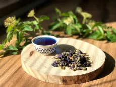 Modrý čaj - clitoria ternatea - motýlí hrášek - motýlý květ - křídla holubice - ručně sbíraný v Himaláji a na slunci sušený květ