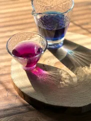Modrý čaj - clitoria ternatea - motýlí hrášek - motýlý květ - křídla holubice - ručně sbíraný v Himaláji a na slunci sušený květ - změní barvu na fialovou po přidání citrónu