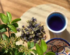 Modrý čaj - clitoria ternatea - motýlí hrášek - motýlý květ - křídla holubice - ručně sbíraný v Himaláji a na slunci sušený květ 6