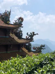 Budhistický chrám v čajové zahradě na Taiwanu v Alishanu