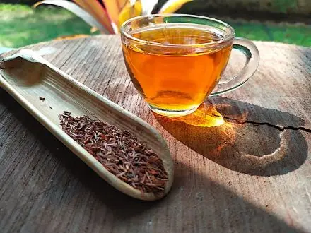 Rooibos červený premium