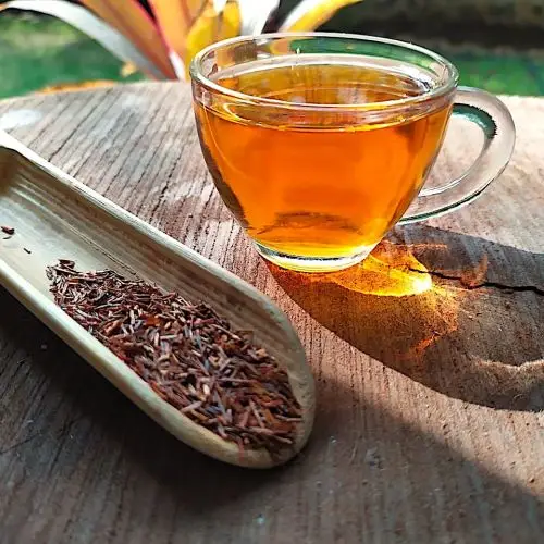 Rooibos červený premium