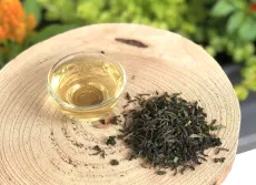 Darjeeling first flush 2026 z čajové zahrady Sungma - kvalitní sypaný čaj z jarní sklizně z Darjeelingu