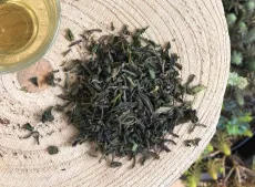 Darjeeling first flush 2026 z čajové zahrady Sungma - kvalitní sypaný čaj z jarní sklizně z Darjeelingu - detail čajových lístků