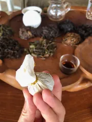 Kuličky zralého pu erhu z divokých čajovníků - degustace čajů v horách na severu Thajska