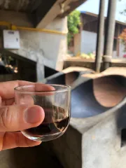 Ochutnávka zralých pu erhů v horách na severu Thajska