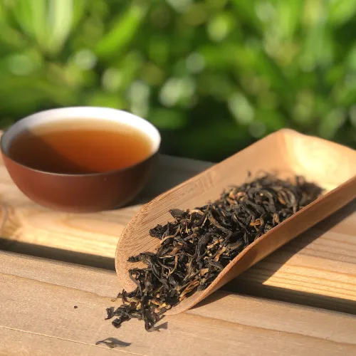 Yunnan tippy