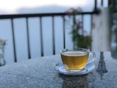 Vychutnávám si čaj z Tulsi v indickém Darjeelingu i když to není poznat