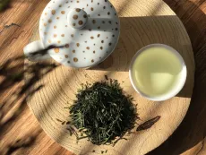 Sencha Hioki Bio - prémiová Sencha - kvalitní sypaný japonský zelený čaj