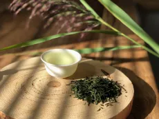 Sencha Hioki Bio - prémiová Sencha - kvalitní sypaný japonský zelený čaj