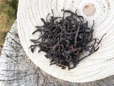 Kenya Buffalo horn - kvalitní sypaný prémiový černý čaj z Keni sklizeň leden 2026, Nandi hills, nadmořská výška 2000 m - detail suchých čajových lístků