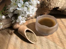 "matcha" z pečeného vysokohorského oolongu aka Dong ding - prémiový práškový čaj z vysokohorského oolongu z hor na severu Thajska