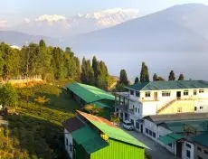 Temi tea estate Sikkim - čajová zahrada a továrna Temi tea garden