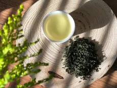 Guricha - kvalitní japonský zelený čaj v Bio kvalitě z oblasti Kirishima