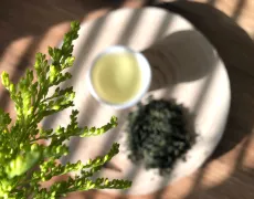 Guricha - kvalitní japonský zelený čaj v Bio kvalitě z oblasti Kirishima