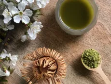 "matcha" ze zeleného vysokohorského oolongu - prémiový práškový čaj z vysokohorského oolongu z Burmy