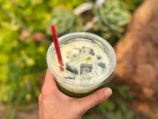 Ochutnávka ledového práškového čaje z vysokohorského zeleného oolongu - aka matcha z gao shan oolongu na severu Thajska