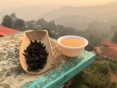 Nilgiri frost tea - kvalitní sypaný vysokohorský černý čaj z Nilgiris - Modrých hor v Indii