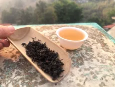 Nilgiri frost tea - kvalitní sypaný vysokohorský černý čaj z Nilgiris - Modrých hor v Indii