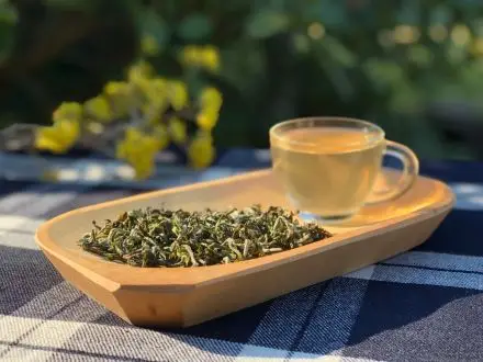 Darjeeling Puttabong Moondrop FF