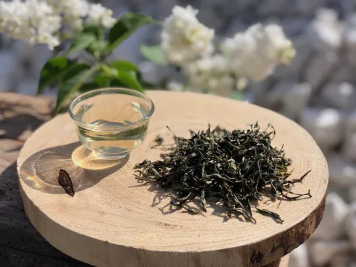 Darjeeling Balasun EX-16 2026