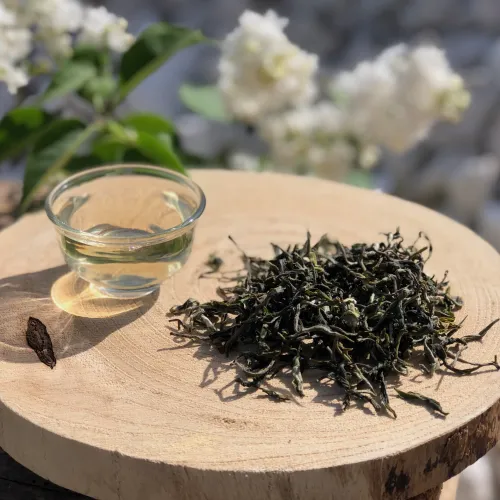 Darjeeling Balasun EX-16 2026