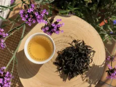 Da hong pao Red robe Wuyi - slavný oolong z čínského Fujianu - pohled shora